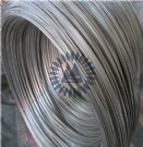 Stainless Steel Wire Rod